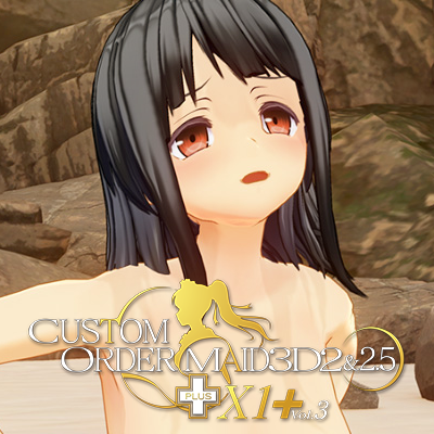 Custom Order Maid 3D2&2.5+ X1+ Vol.03