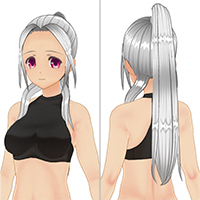 Japanese-Style Ponytail Hair Set