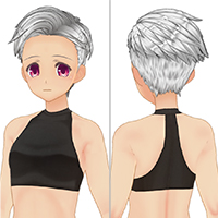 Side Back Hair Set