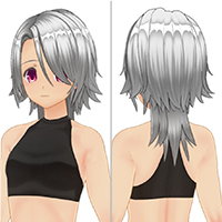 Visual Punk Hair Set