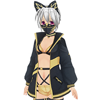Cyber Rogue Set