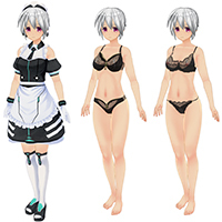 Maid and Lingerie Costume Set