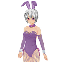 Elegant Bunny Set