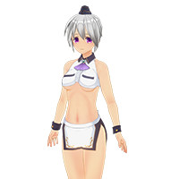 Sexy Waitress Set