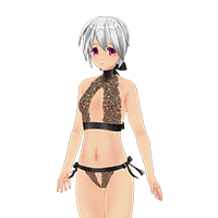 See-through lingerie set