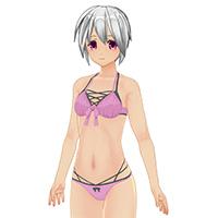 Layer-style Bikini Set