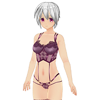 Lace Bustier Set