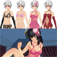 Custom Order Maid 3D2 Adult Costume Set Vol. 3 + Sex event