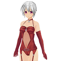 Net Bondage Set