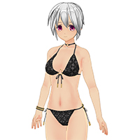 Elegant Bikini Set