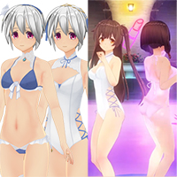 Custom Order Maid 3D2 Night Pool SP