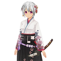 Sword Princess Set