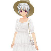 Summer Travel Dress Set