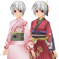 Delux Kimono Costume Set 