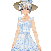Floral Summer Dress Set