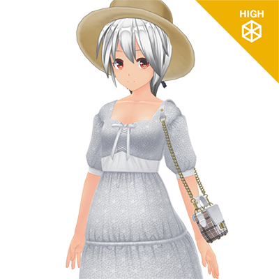 Summer Travel Dress Set 