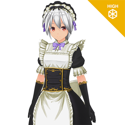 Lady Maid Uniform