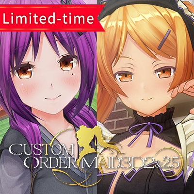 CUSTOM OREDER MAID 3D2&2.5 Append Bundle and other